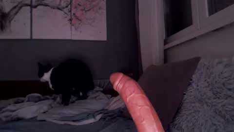 Snapshot of sexyella25 chatting on 07/13/26, 08:44 .... ............ Onlyfans online show from 07/13/26, 08:44