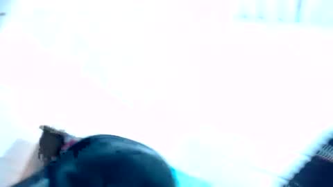 sexyjustin202 online show from 06/27/26, 03:22