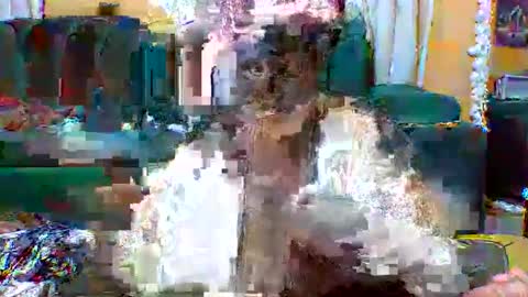 sexylo52 online show from 05/13/26, 11:07