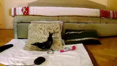 Squirty Maya Gold online show from 01/16/25, 11:58