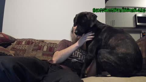 Sexymountainman420 online show from 12/24/24, 07:06