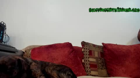 Snapshot of sexymountainman420 chatting on 04/16/26, 01:28 Sexymountainman420 online show from 04/16/26, 01:28