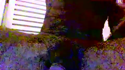 sexynudistdaddycockm online show from 11/24/25, 05:51