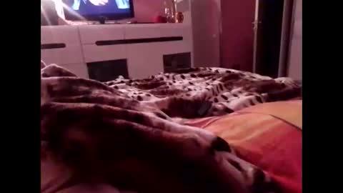 Snapshot of sexypairjuly chatting on 11/04/25, 11:15 sexypairjuly online show from 11/04/25, 11:15