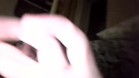 Snapshot of shamilka93 chatting on 09/17/25, 07:59 Shamilka online show from 09/17/25, 07:59