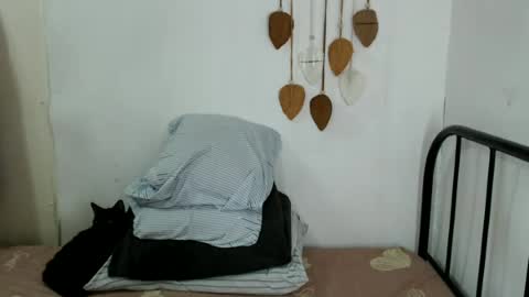 bini aiah online show from 06/22/26, 04:31