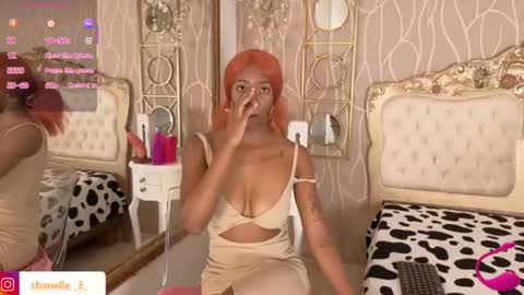 S H A N E L L E   online show from 06/13/26, 02:04