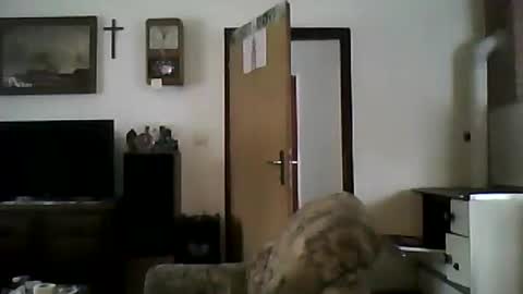 Snapshot of shaomy711 chatting on 01/19/25, 11:56 excelo21 online show from 01/19/25, 11:56