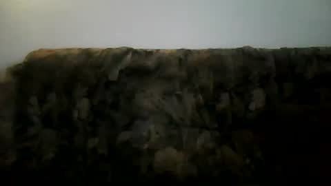 Snapshot of shaomy711 chatting on 02/02/25, 02:13 excelo21 online show from 02/02/25, 02:13