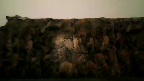 Snapshot of shaomy711 chatting on 02/13/25, 07:21 excelo21 online show from 02/13/25, 07:21