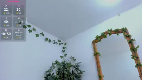 Shego  online show from 07/14/26, 12:13