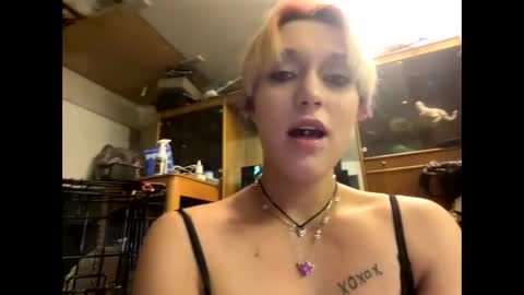 Shelby holes online show from 12/29/24, 01:49