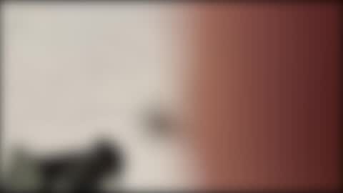 Snapshot of shifted1 chatting on 01/01/25, 11:18 shifted1 online show from 01/01/25, 11:18