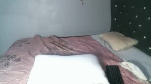 Snapshot of shiro254 chatting on 09/15/25, 11:54 Shi-ro online show from 09/15/25, 11:54