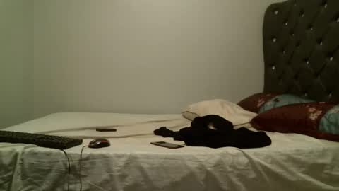 Snapshot of shiro254 chatting on 10/26/25, 08:04 Shi-ro online show from 10/26/25, 08:04