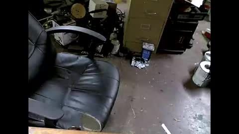 Shoani online show from 11/08/25, 07:41