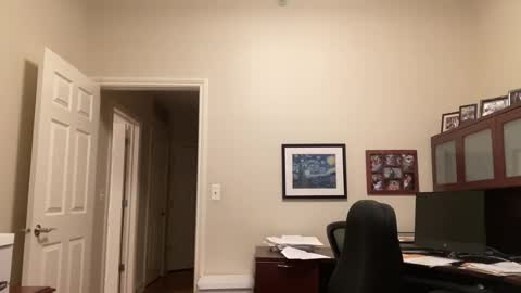 Chicago Guy online show from 07/18/26, 03:33