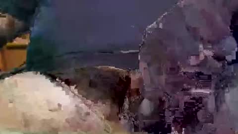 showsme online show from 09/17/25, 09:22