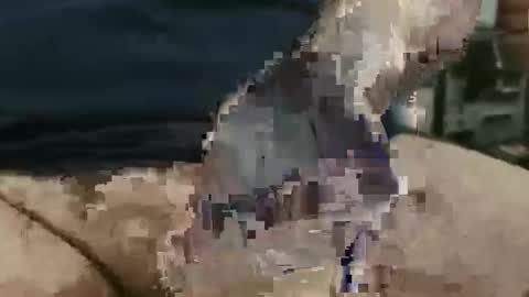 showsme online show from 09/22/25, 12:07