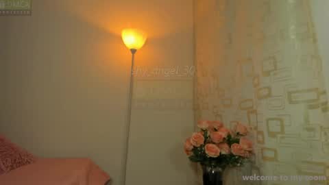 Angel  online show from 08/04/26, 06:21