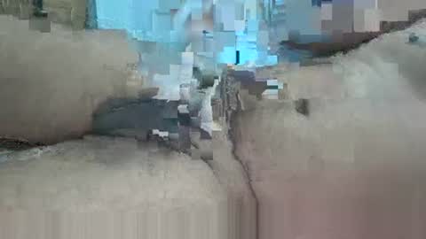 Snapshot of shy_man0 chatting on 09/29/25, 06:13 shy_man0 online show from 09/29/25, 06:13