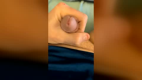 shycutie online show from 06/24/26, 05:28