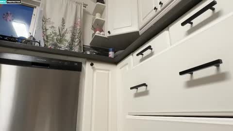 shygingerpnw online show from 10/11/25, 01:49