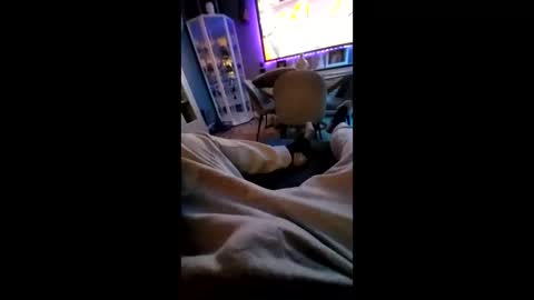 shynessy online show from 02/10/25, 12:19