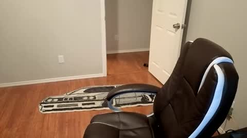 Snapshot of sigmaslayer chatting on 10/24/25, 11:56 sigmaslayer online show from 10/24/25, 11:56