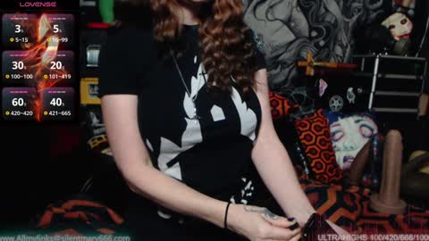Allmylinkssilentmary666 online show from 01/25/25, 03:19