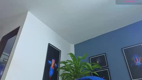 silvabranko online show from 11/26/25, 12:11