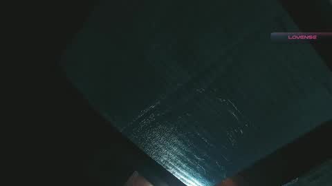 Snapshot of silvabranko chatting on 04/27/26, 02:09 silvabranko online show from 04/27/26, 02:09