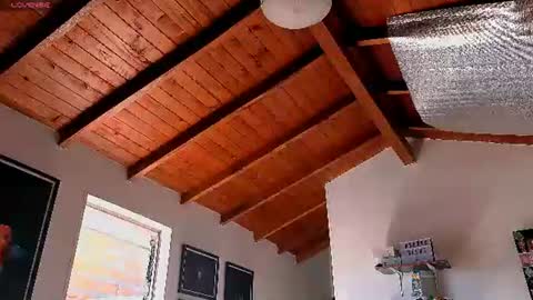 Snapshot of silvabranko chatting on 06/22/26, 03:09 silvabranko online show from 06/22/26, 03:09