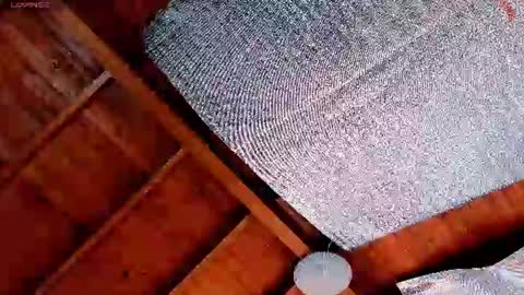 Snapshot of silvabranko chatting on 07/19/26, 03:05 silvabranko online show from 07/19/26, 03:05