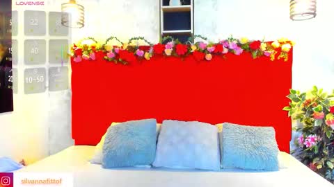 Snapshot of silvannafit chatting on 02/12/26, 11:38 Silvana Fit online show from 02/12/26, 11:38