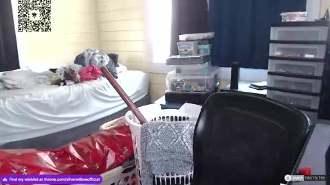 Snapshot of silver_willow chatting on 12/16/24, 04:49 Willow online show from 12/16/24, 04:49