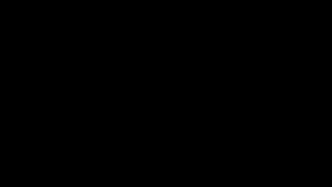 silvia_ls online show from 02/24/25, 12:30