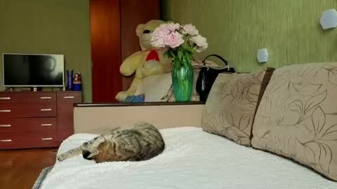Snapshot of silviasexyy chatting on 05/30/26, 12:24 miss Anna online show from 05/30/26, 12:24