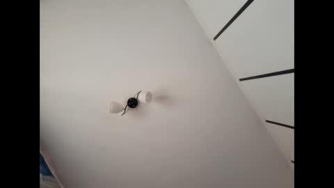 Snapshot of simpledi chatting on 03/10/25, 07:42 simpledi online show from 03/10/25, 07:42