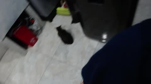 sin_sweet_sin online show from 10/19/25, 01:28