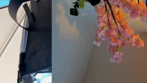 Snapshot of siouxsie_cenobite chatting on 06/24/26, 11:09 Siouxsie online show from 06/24/26, 11:09