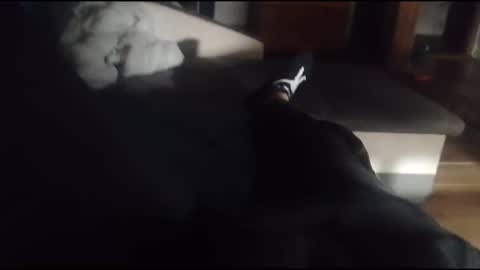 siren666777 online show from 10/16/25, 05:36