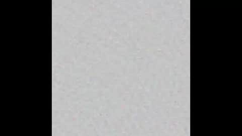 siren indira online show from 10/28/25, 08:11