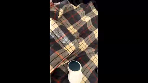 Snapshot of sirgalaxy chatting on 11/02/25, 01:46 sirgalaxy online show from 11/02/25, 01:46