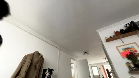 Snapshot of siriss_boyrag chatting on 02/14/26, 02:14 siriss_boyrag online show from 02/14/26, 02:14
