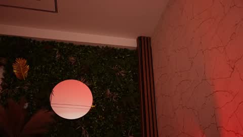 Dee online show from 05/12/26, 07:22