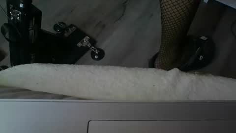 sissymia1234 online show from 12/17/25, 03:23