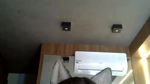 skinnykittencam online show from 10/24/25, 06:59