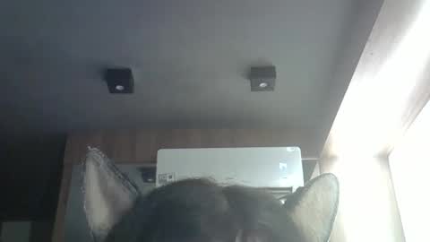 skinnykittencam online show from 04/09/26, 01:16