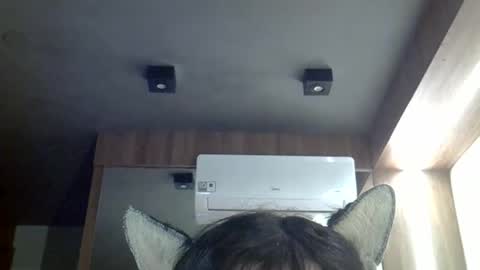 skinnykittencam online show from 05/03/26, 03:07